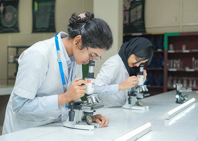 About Career Services